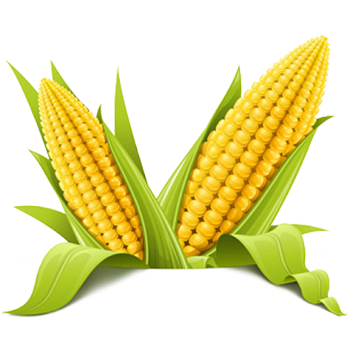 Corn-PNG
